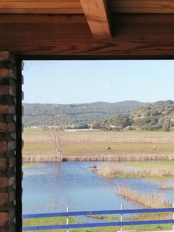 Casa Los Ibis Villa Vejer de la Frontera Buitenkant foto